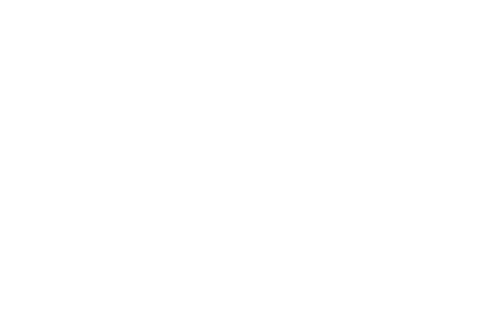 The Next Film Festival 2026 laurel